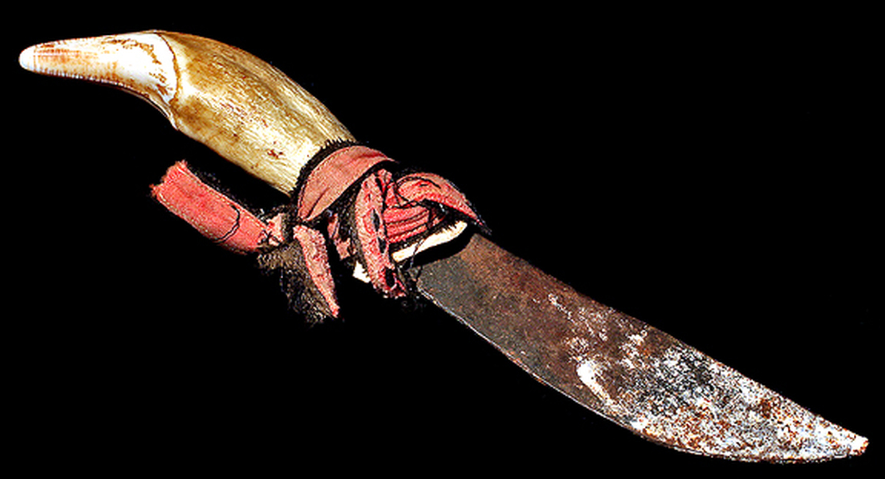 Ifugao tribal knife with curved animal tooth handle and forged iron blade wrapped in leather